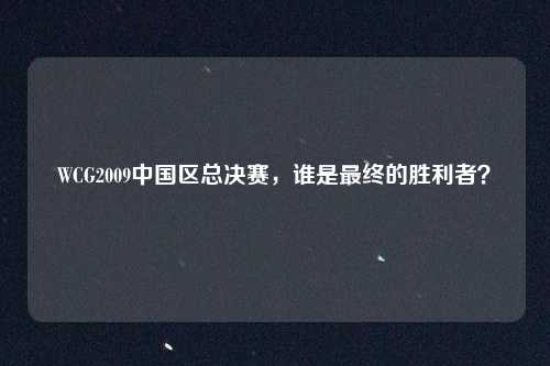WCG2009中国区总决赛，谁是最终的胜利者？