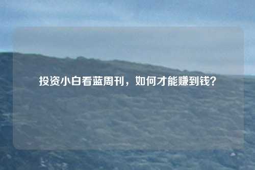 投资小白看蓝周刊，如何才能赚到钱？