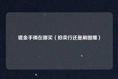 镀金手镯在哪买（拍卖行还是刷图爆）