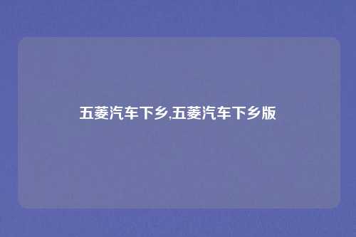 五菱汽车下乡,五菱汽车下乡版