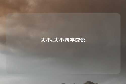 大小s,大小四字成语