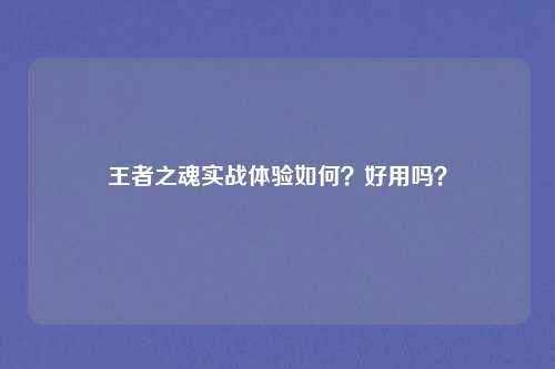 王者之魂实战体验如何？好用吗？