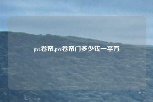 pvc卷帘,pvc卷帘门多少钱一平方