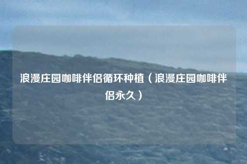 浪漫庄园咖啡伴侣循环种植（浪漫庄园咖啡伴侣永久）