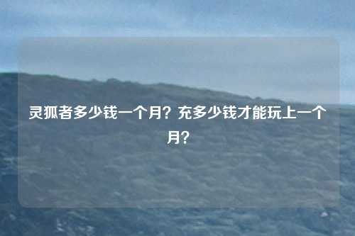 灵狐者多少钱一个月？充多少钱才能玩上一个月？