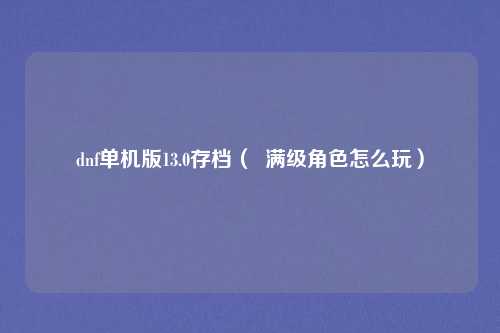 dnf单机版13.0存档（  满级角色怎么玩）