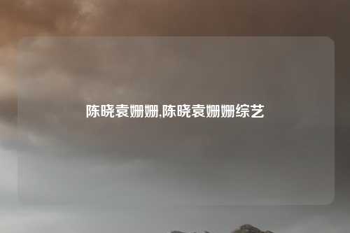 陈晓袁姗姗,陈晓袁姗姗综艺