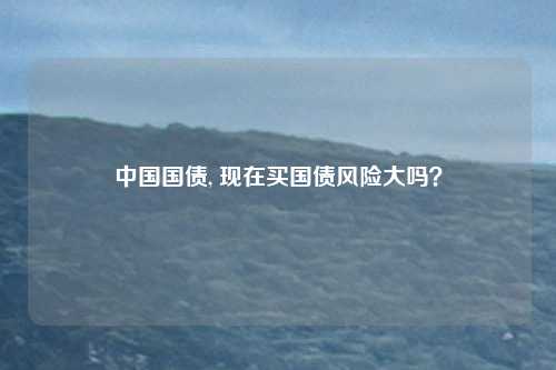 中国国债, 现在买国债风险大吗？
