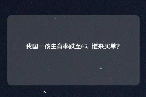 我国一孩生育率跌至0.5,  谁来买单？