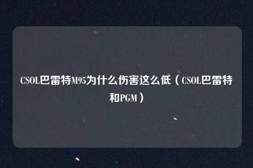 CSOL巴雷特M95为什么伤害这么低（CSOL巴雷特和PGM）