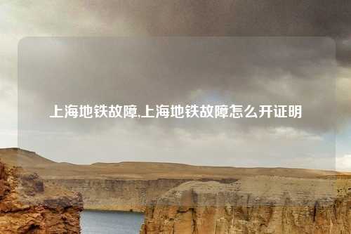 上海地铁故障,上海地铁故障怎么开证明