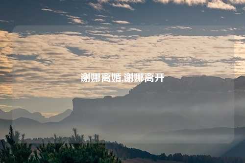 谢娜离婚,谢娜离开