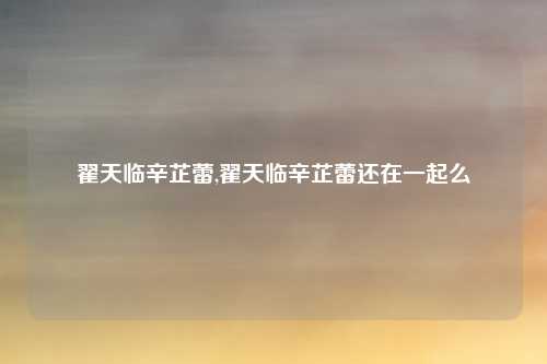 翟天临辛芷蕾,翟天临辛芷蕾还在一起么