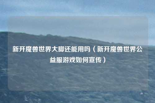 新开魔兽世界大脚还能用吗（新开魔兽世界公益服游戏如何宣传）