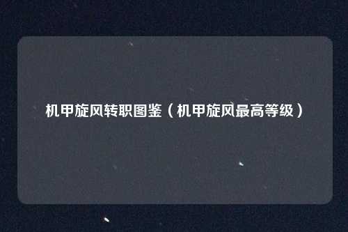 机甲旋风转职图鉴（机甲旋风最高等级）
