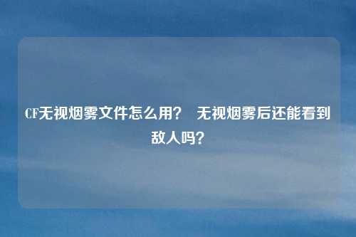 CF无视烟雾文件怎么用？  无视烟雾后还能看到敌人吗？