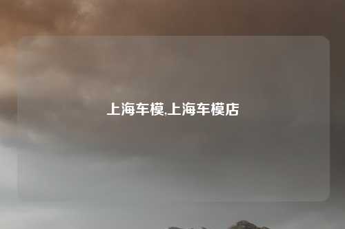 上海车模,上海车模店