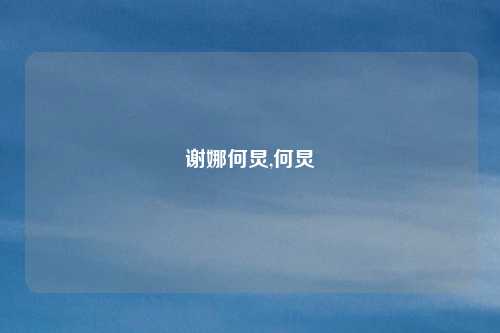 谢娜何炅,何炅