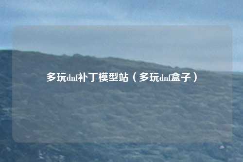 多玩dnf补丁模型站（多玩dnf盒子）