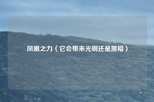 凤凰之力（它会带来光明还是黑暗）