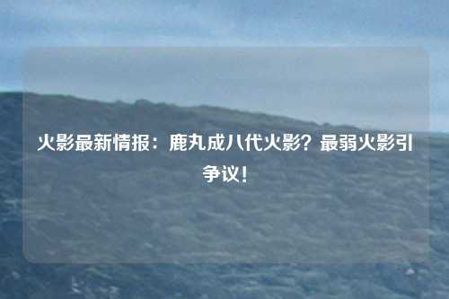 火影最新情报：鹿丸成八代火影？最弱火影引争议！