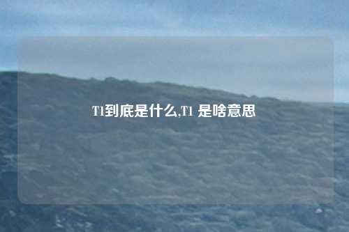T1到底是什么,T1 是啥意思