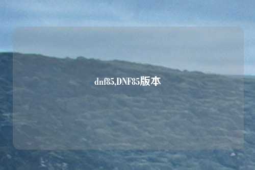 dnf85,DNF85版本