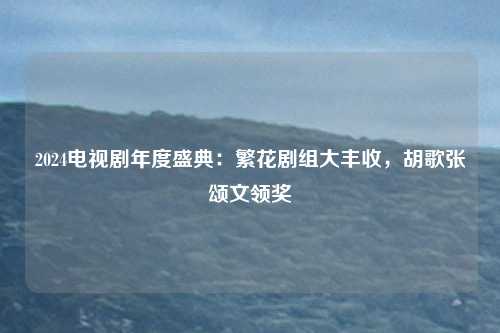 2024电视剧年度盛典：繁花剧组大丰收，胡歌张颂文领奖