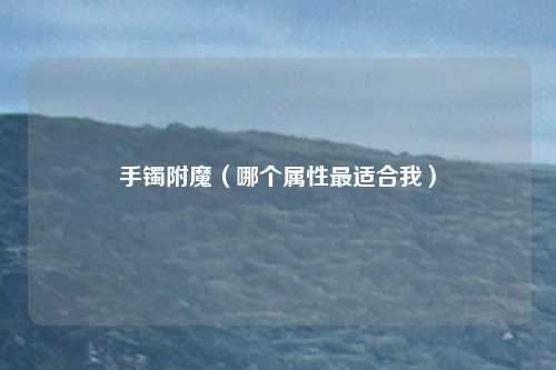 手镯附魔（哪个属性最适合我）