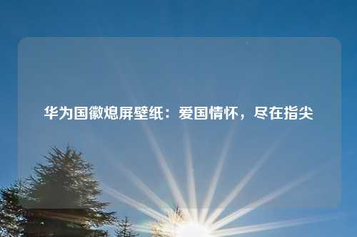 华为国徽熄屏壁纸：爱国情怀，尽在指尖