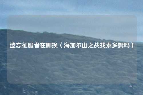 遗忘征服者在哪换（海加尔山之战找泰多姆吗）