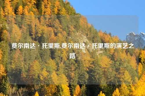 费尔南达·托里斯,费尔南达·托里斯的演艺之路