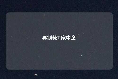 再制裁11家中企