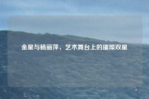 金星与杨丽萍，艺术舞台上的璀璨双星