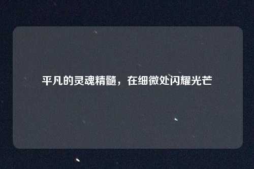 平凡的灵魂精髓，在细微处闪耀光芒