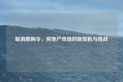 取消限购令，房地产市场的新契机与挑战