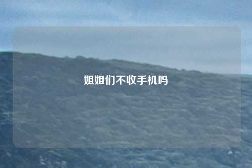 姐姐们不收手机吗