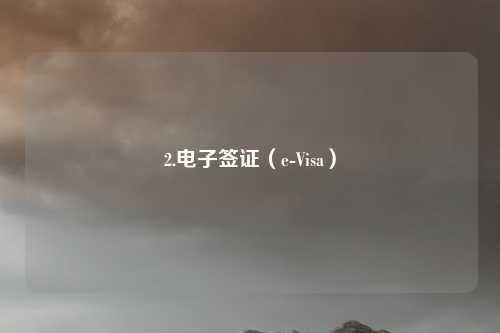 2.电子签证（e-Visa）