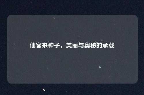 仙客来种子，美丽与奥秘的承载