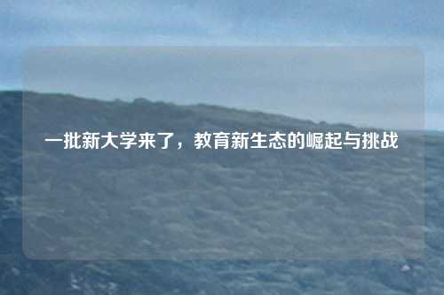 一批新大学来了，教育新生态的崛起与挑战
