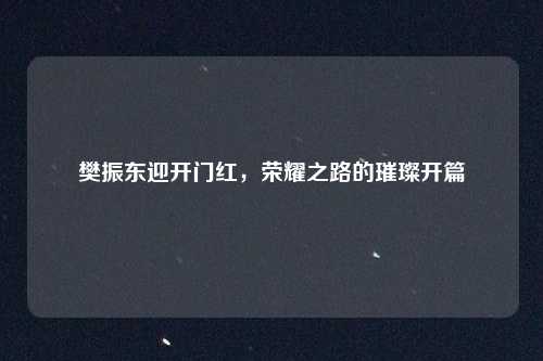 樊振东迎开门红，荣耀之路的璀璨开篇