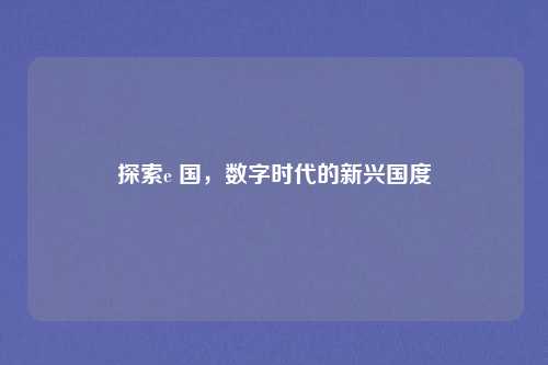 探索e 国，数字时代的新兴国度