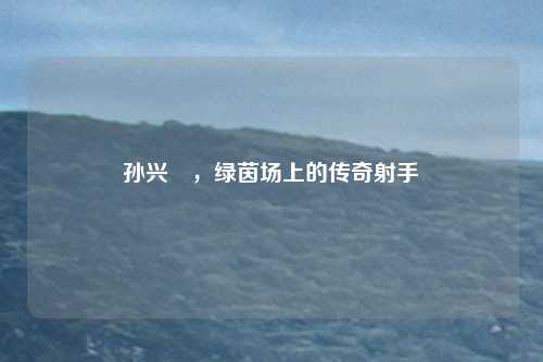 孙兴慜，绿茵场上的传奇射手