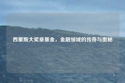 西蒙斯大奖章基金，金融领域的传奇与奥秘