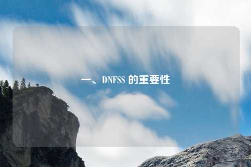 一、DNFSS 的重要性