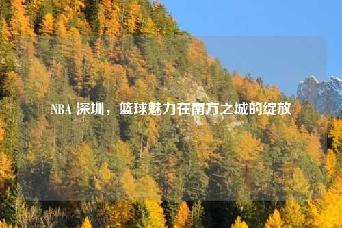 NBA 深圳，篮球魅力在南方之城的绽放
