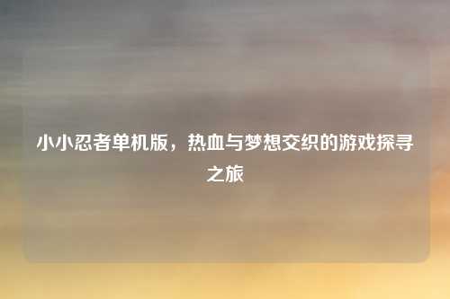 小小忍者单机版，热血与梦想交织的游戏探寻之旅