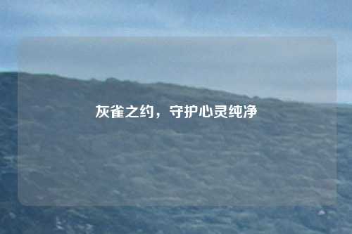灰雀之约，守护心灵纯净