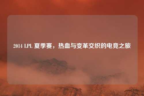 2014 LPL 夏季赛，热血与变革交织的电竞之旅