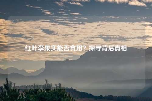 红叶李果实能否食用？探寻背后真相